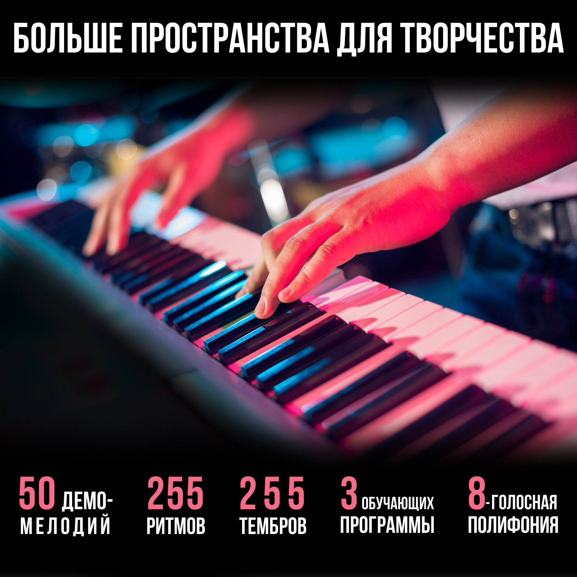 288095_12.jpg