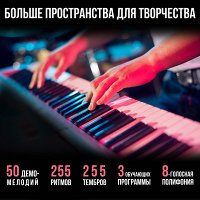288095_12.jpg